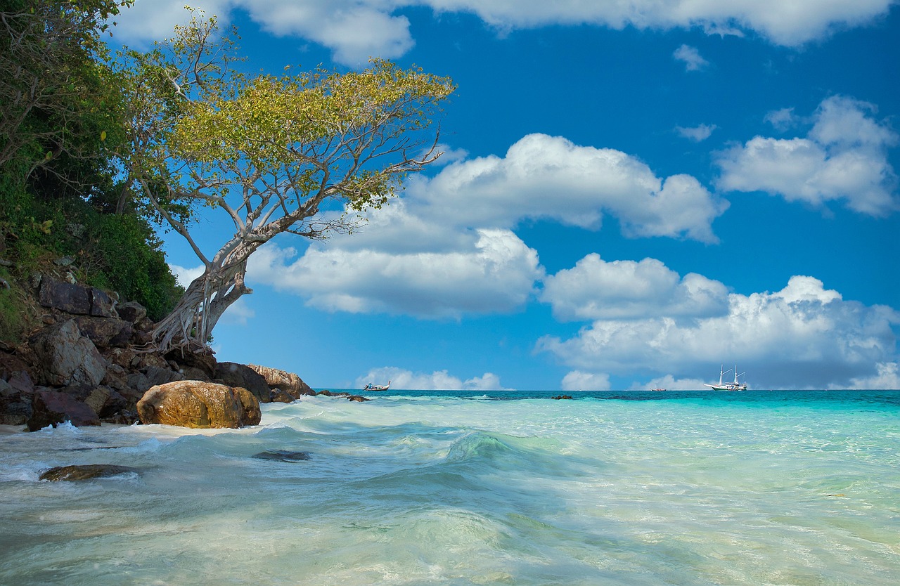 Exploring the Secret Beaches of New Zealand’s North Island